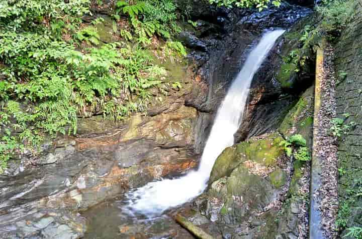 鮎返りの滝・遊歩道から